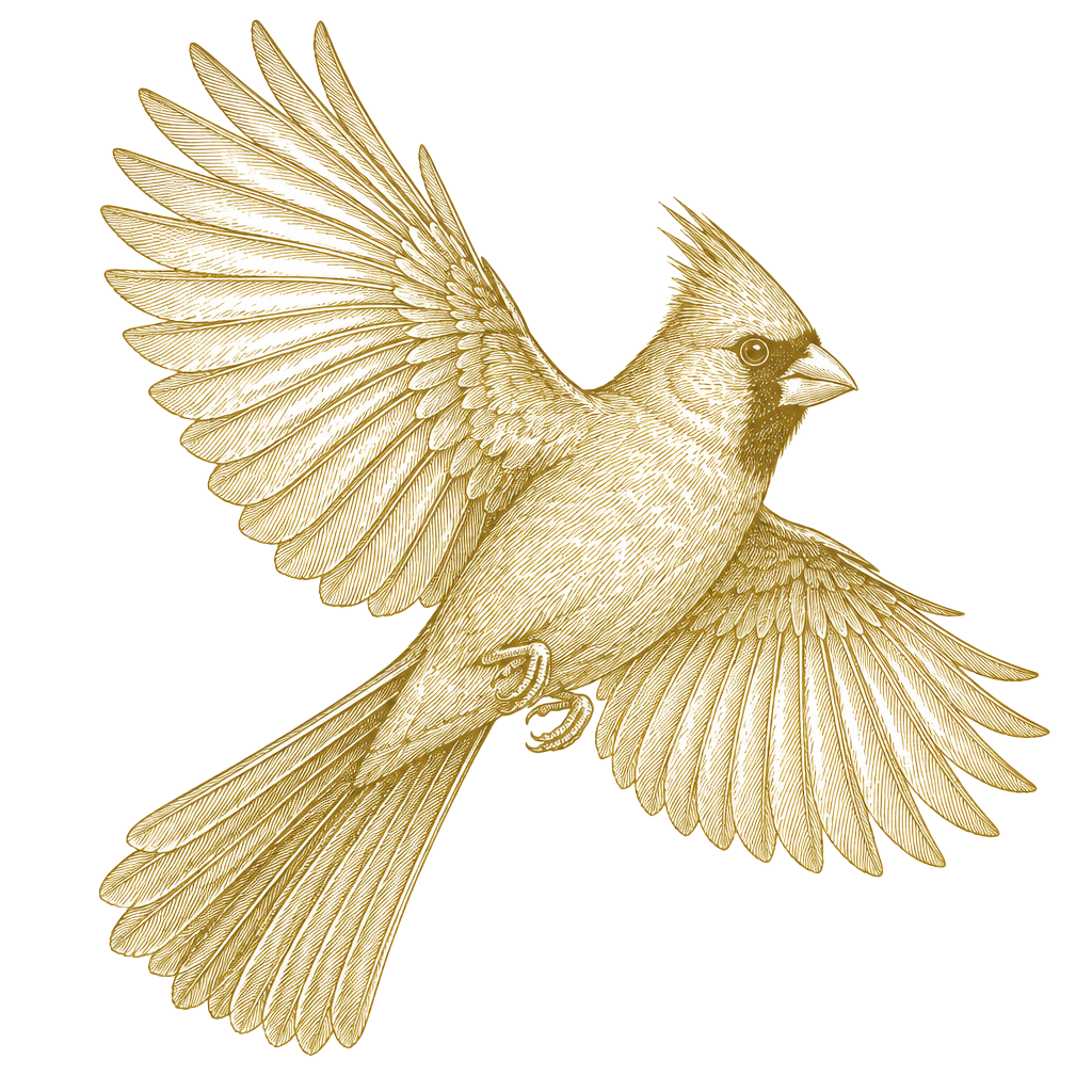 Engraving of a cardinal in flight